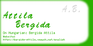 attila bergida business card